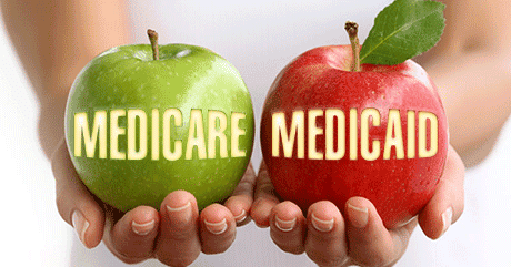 official government organization, medicare services, medicare taxes